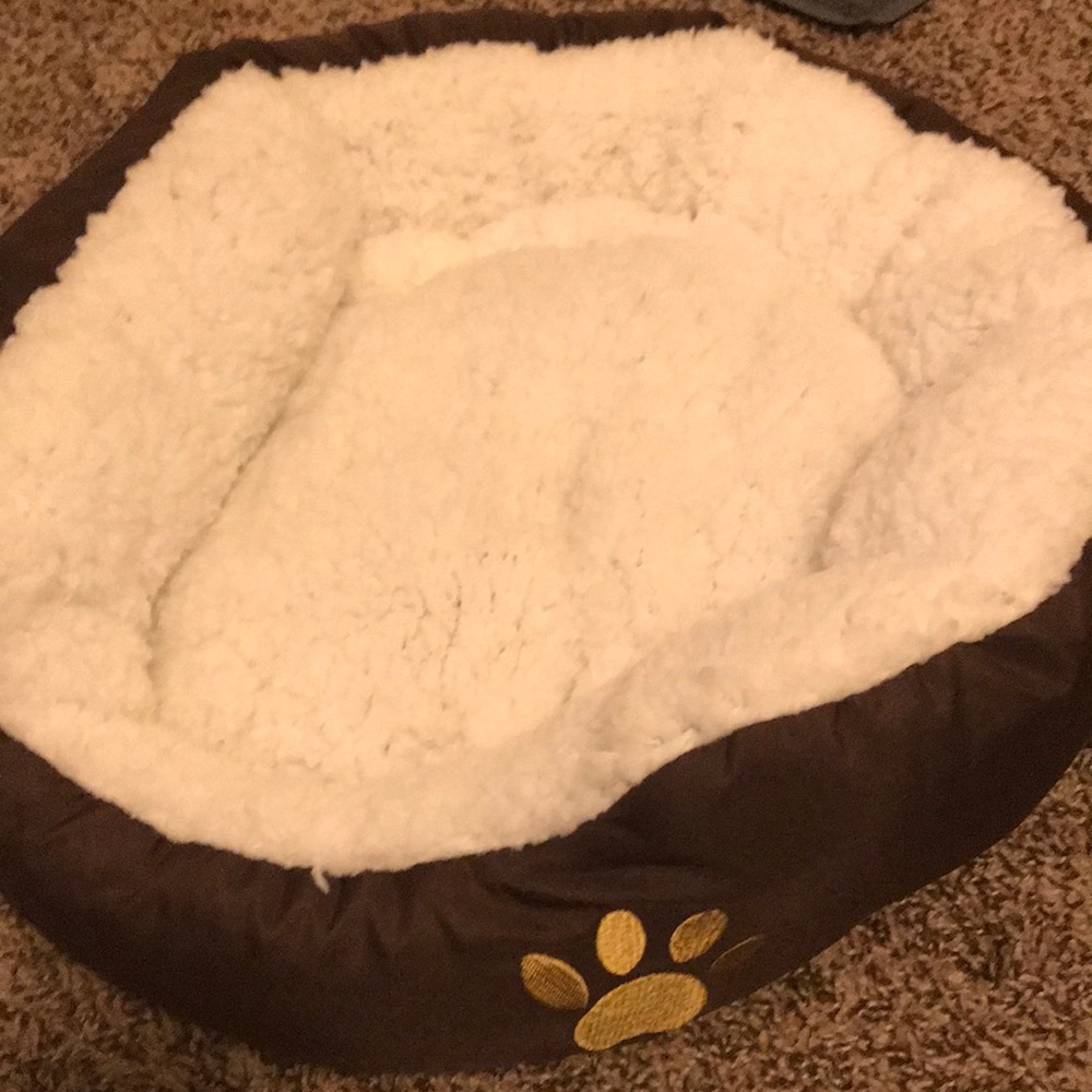 Evelots soft pet bed for cats and small dogs!